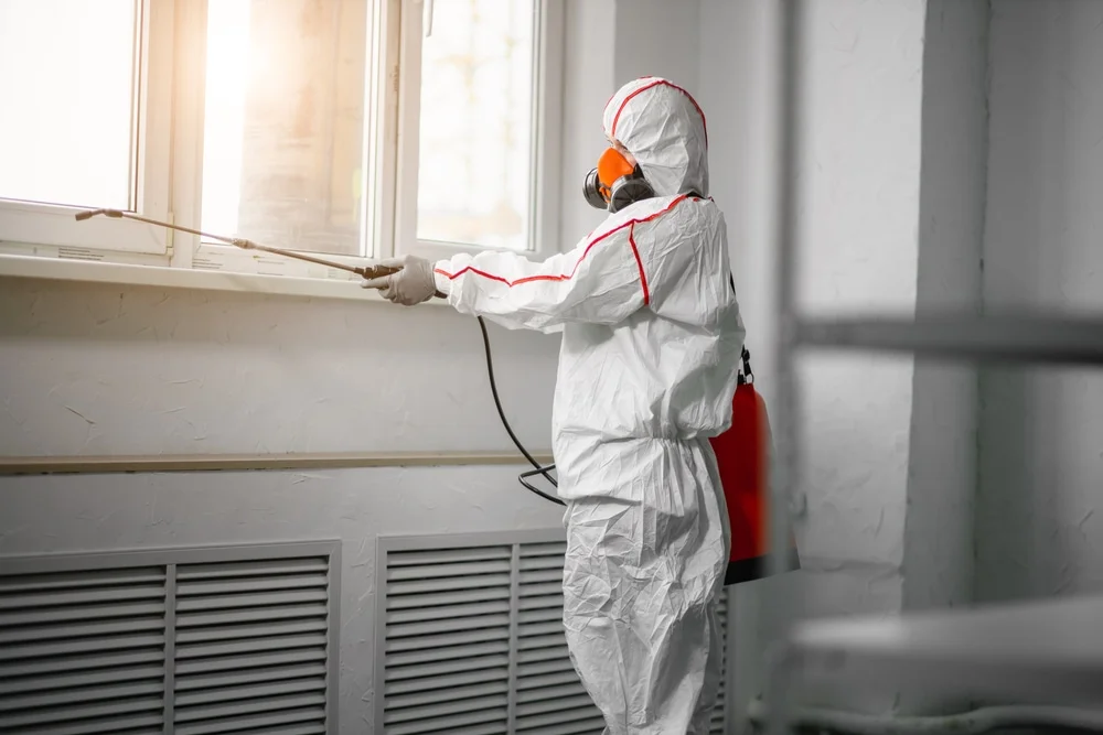 Professional mold remediation services in Central City, CO